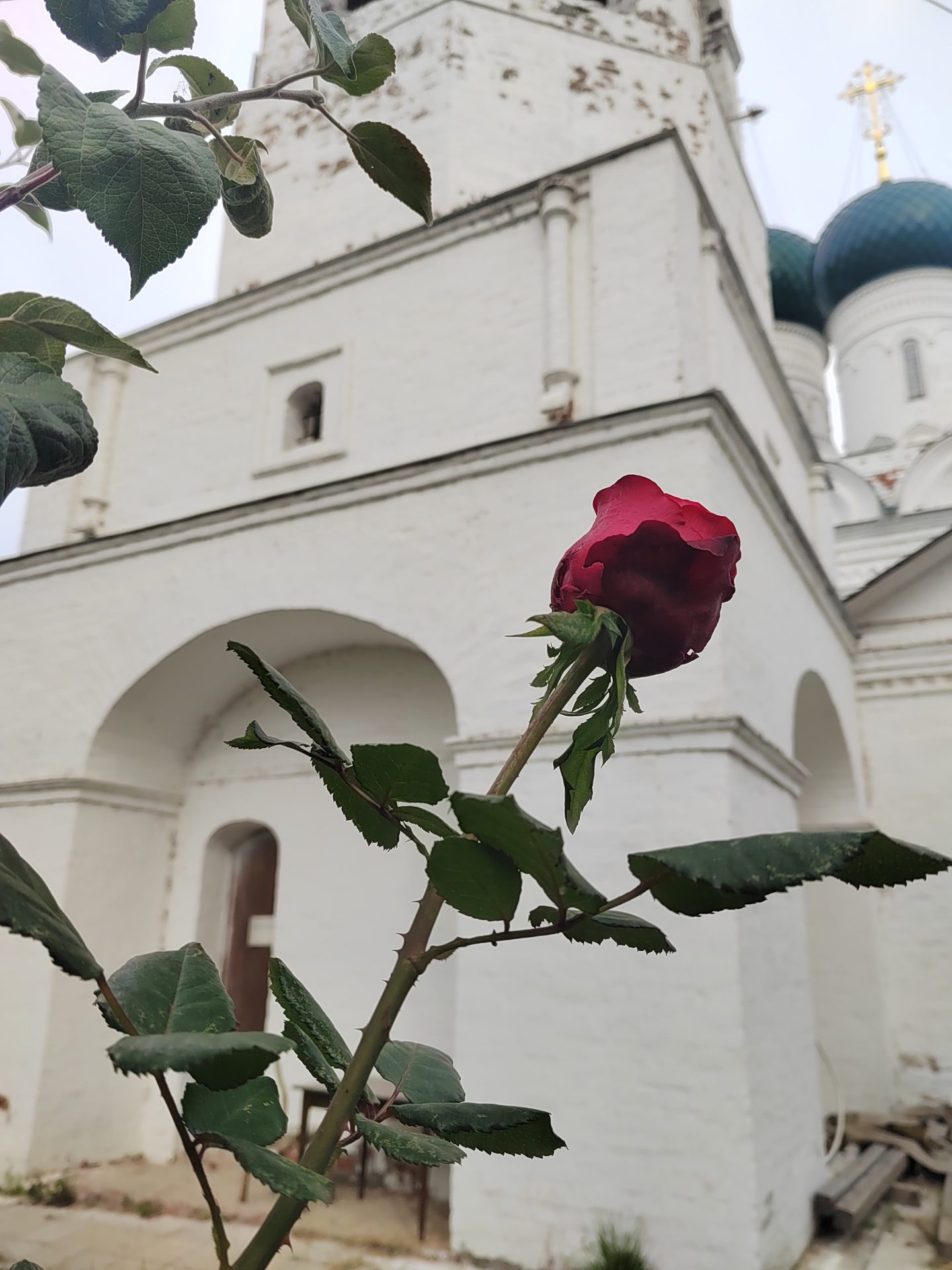 Вознесенская полянка
