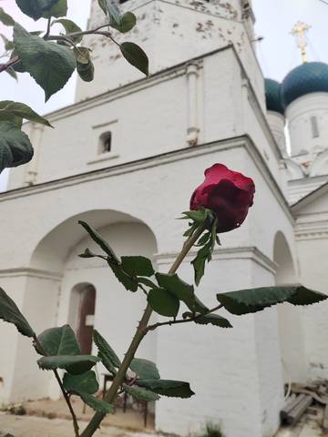 Вознесенская полянка