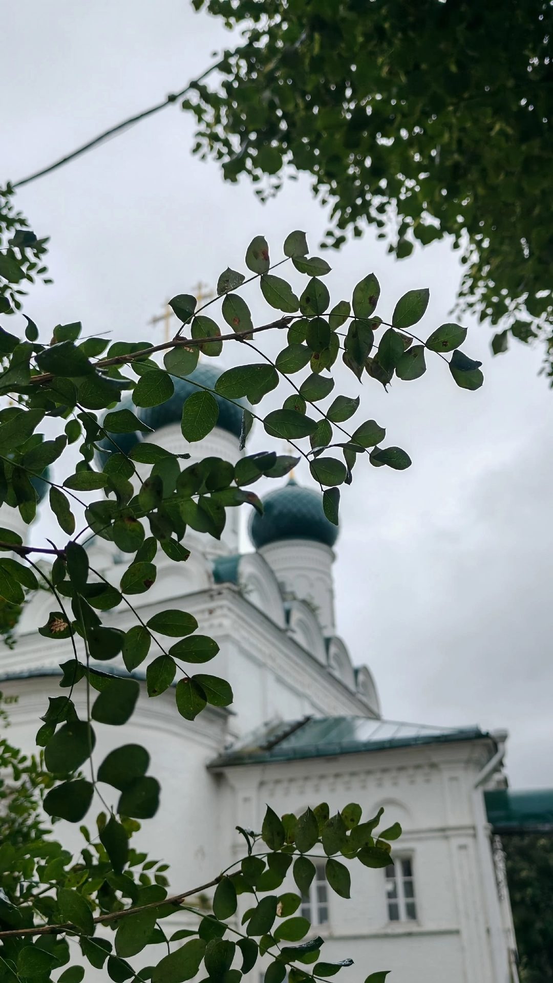 Анонс богослужений