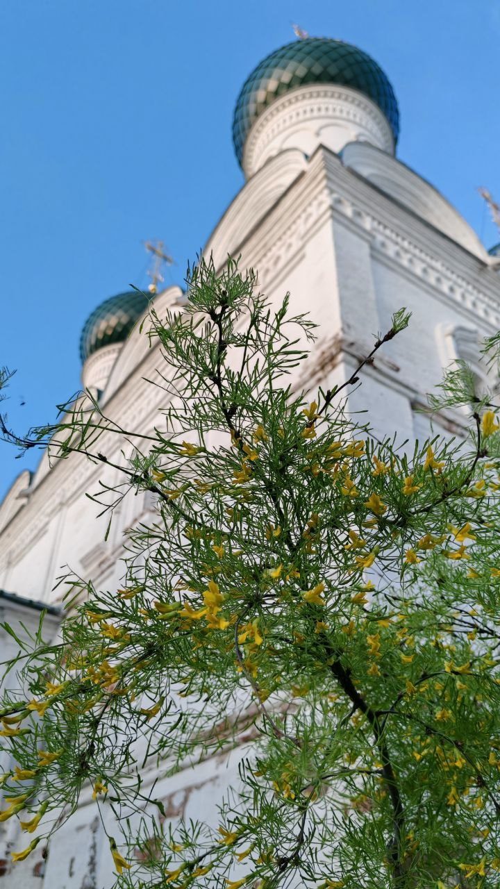Просьба о помощи храму