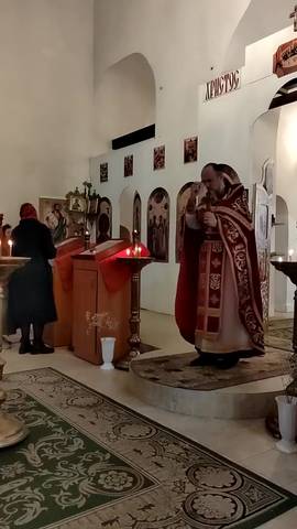 Проповедь #ВознесенскаяПроповедь в Неделю 4-ю по Пасхе. О расслабленом