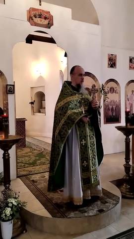 #ВознесенскаПроповедь в праздник Входа Господня во Иерусалим