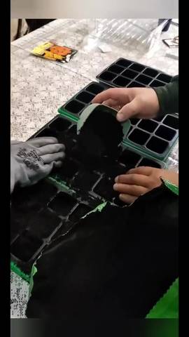 Вознесенская полянка