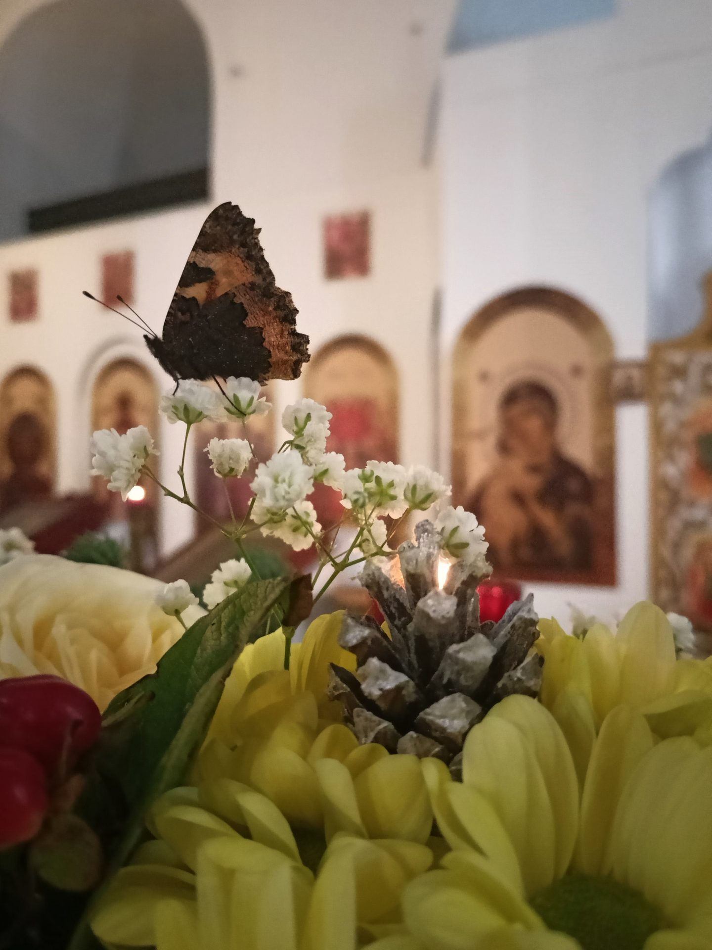 С Рождеством Христовым
