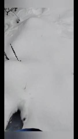 Из жизни прихода