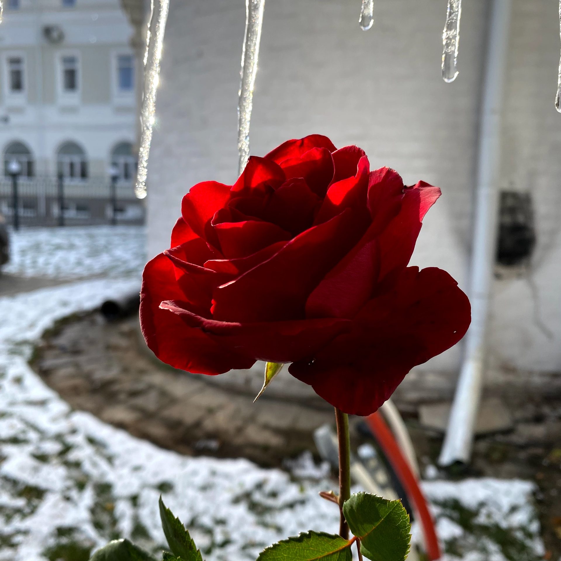 Вознесенская полянка