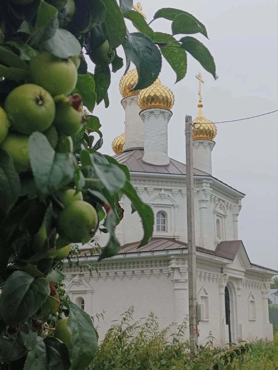 Анонс богослужений