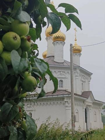 Анонс богослужений