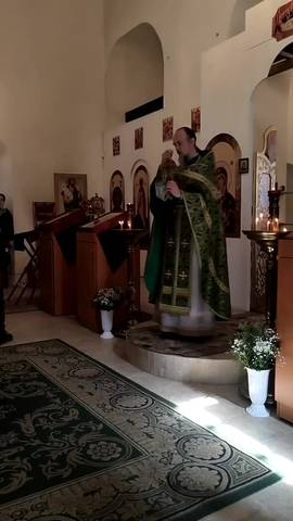 Проповедь #ВознесенскаяПроповедь в праздник Входа Господня в Иерусалим