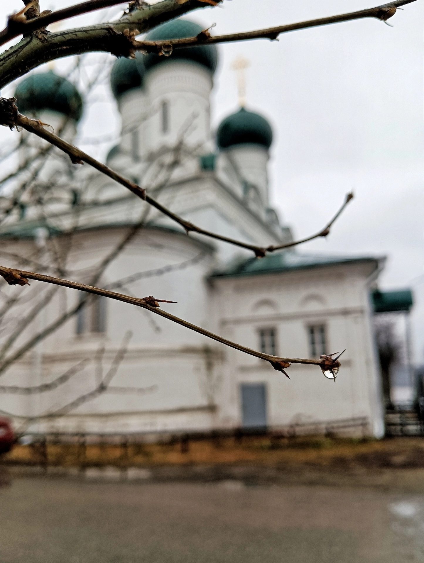 Дорогие друзья