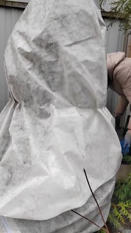Из жизни прихода