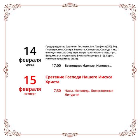 Дорогие друзья