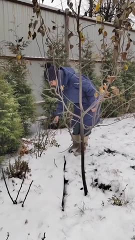Вознесенская полянка
