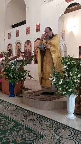 Проповедь #ВознесенскаяПроповедь в праздник Всех Святых