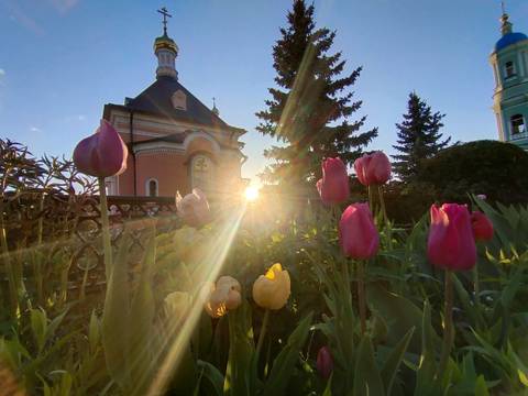 Паломничество в Оптину пустынь