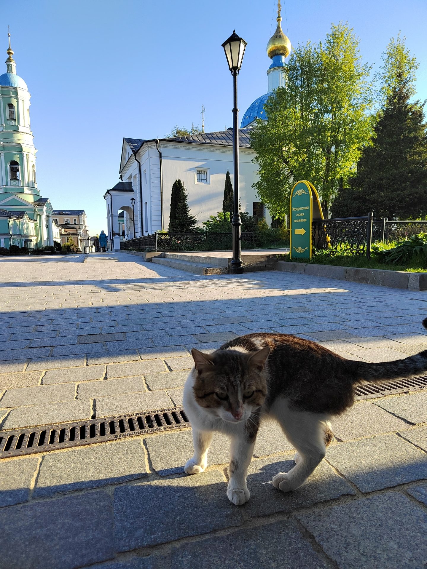 Паломничество в Оптину пустынь