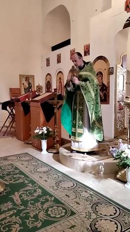 Проповедь #ВознесенскаяПроповедь в Праздник Входа Господня в Иерусалим