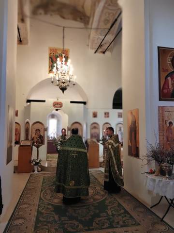 С праздником Входа Господня в Иерусалим
