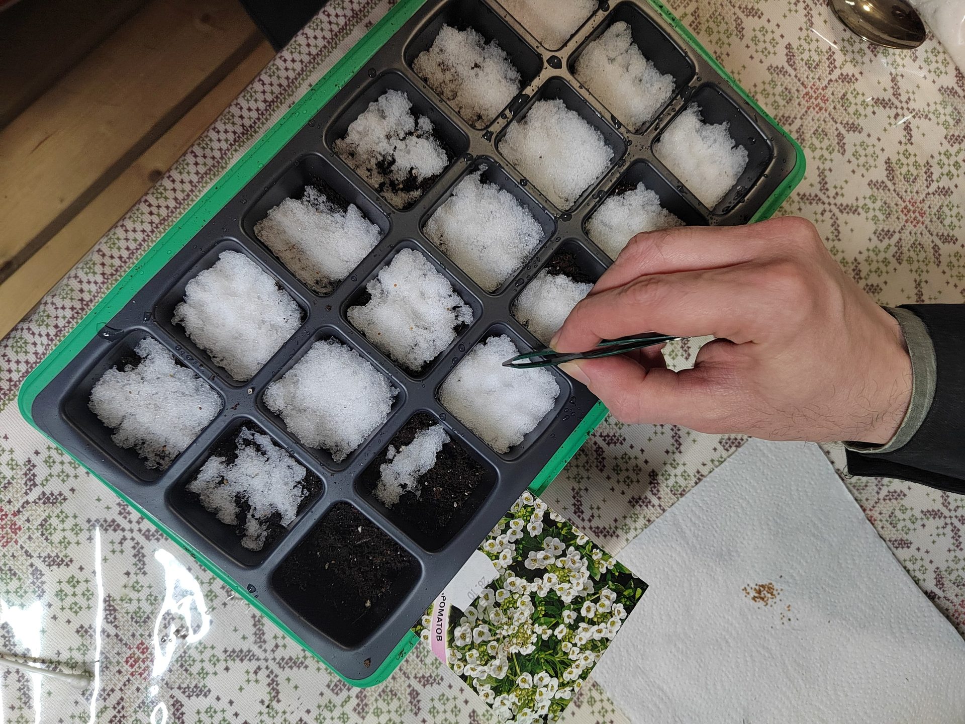 Вознесенская полянка