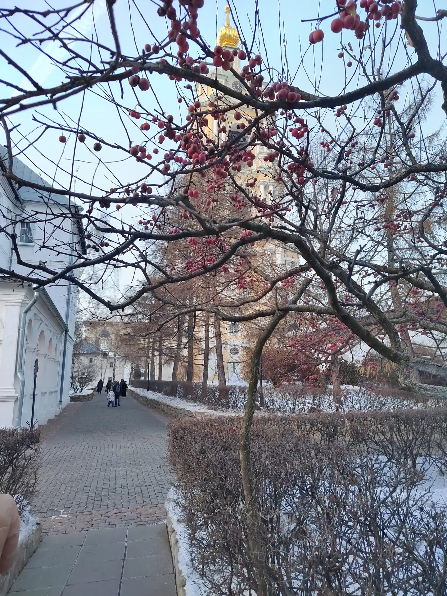Паломничество: Новоспасский монастырь