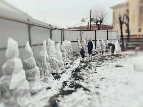 Вознесенская полянка