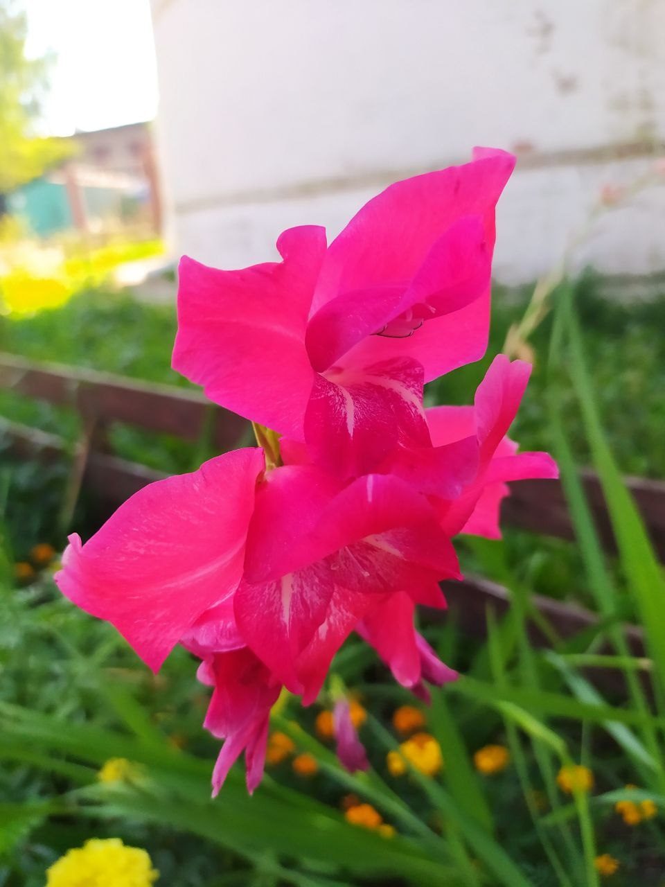 Вознесенская полянка
