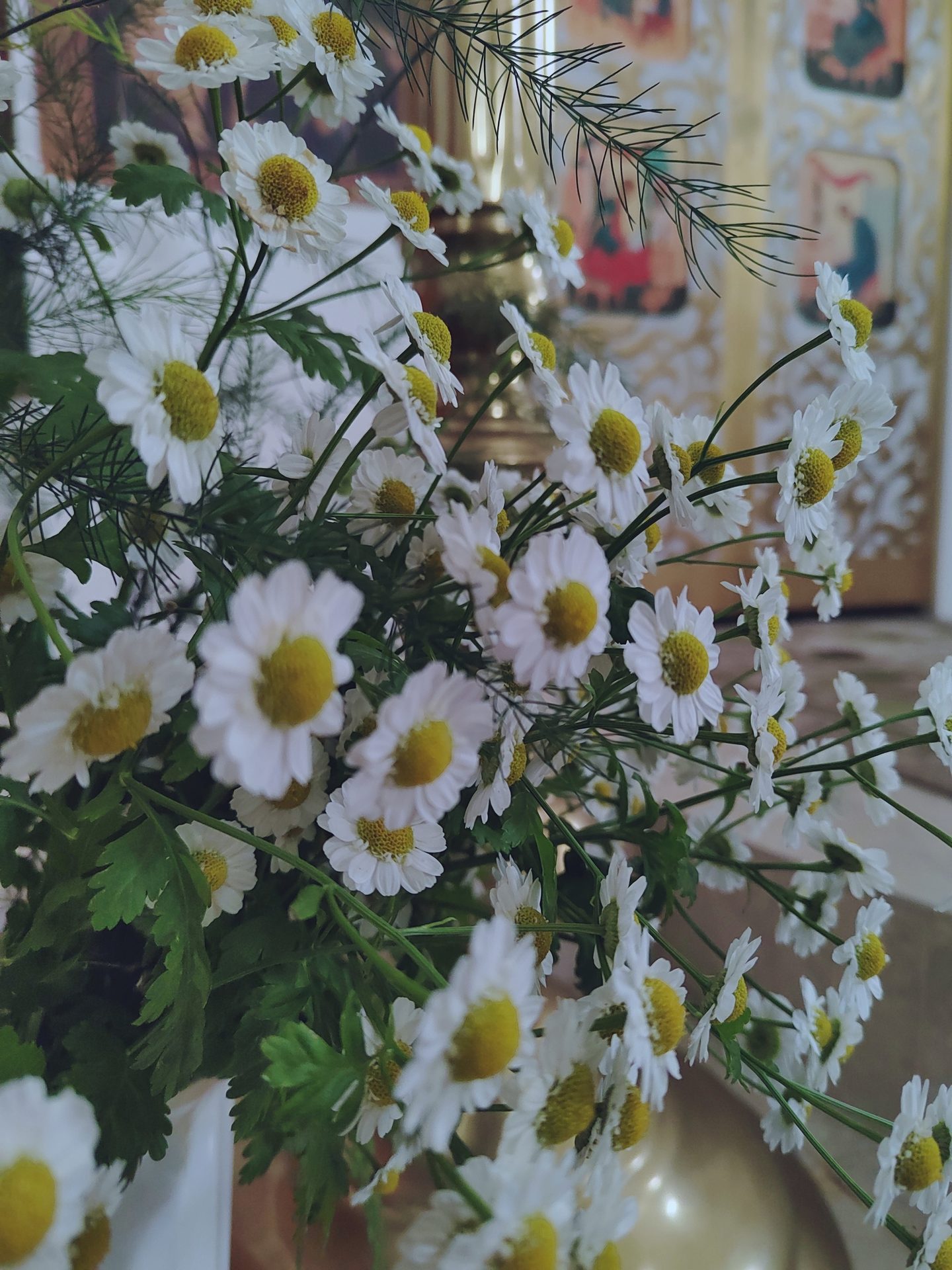 С днем памяти святых Петра и Февронии С днем семьи , любви и верности, дорогие