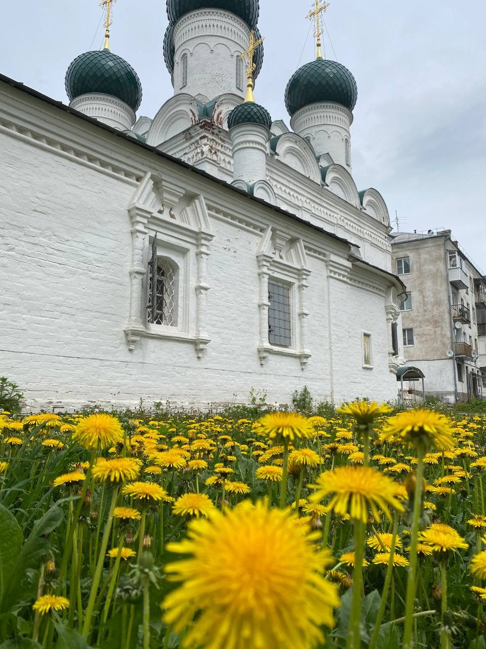 #ВознесенскаяПолянка усыпана солнышками а вы уже собирали букеты