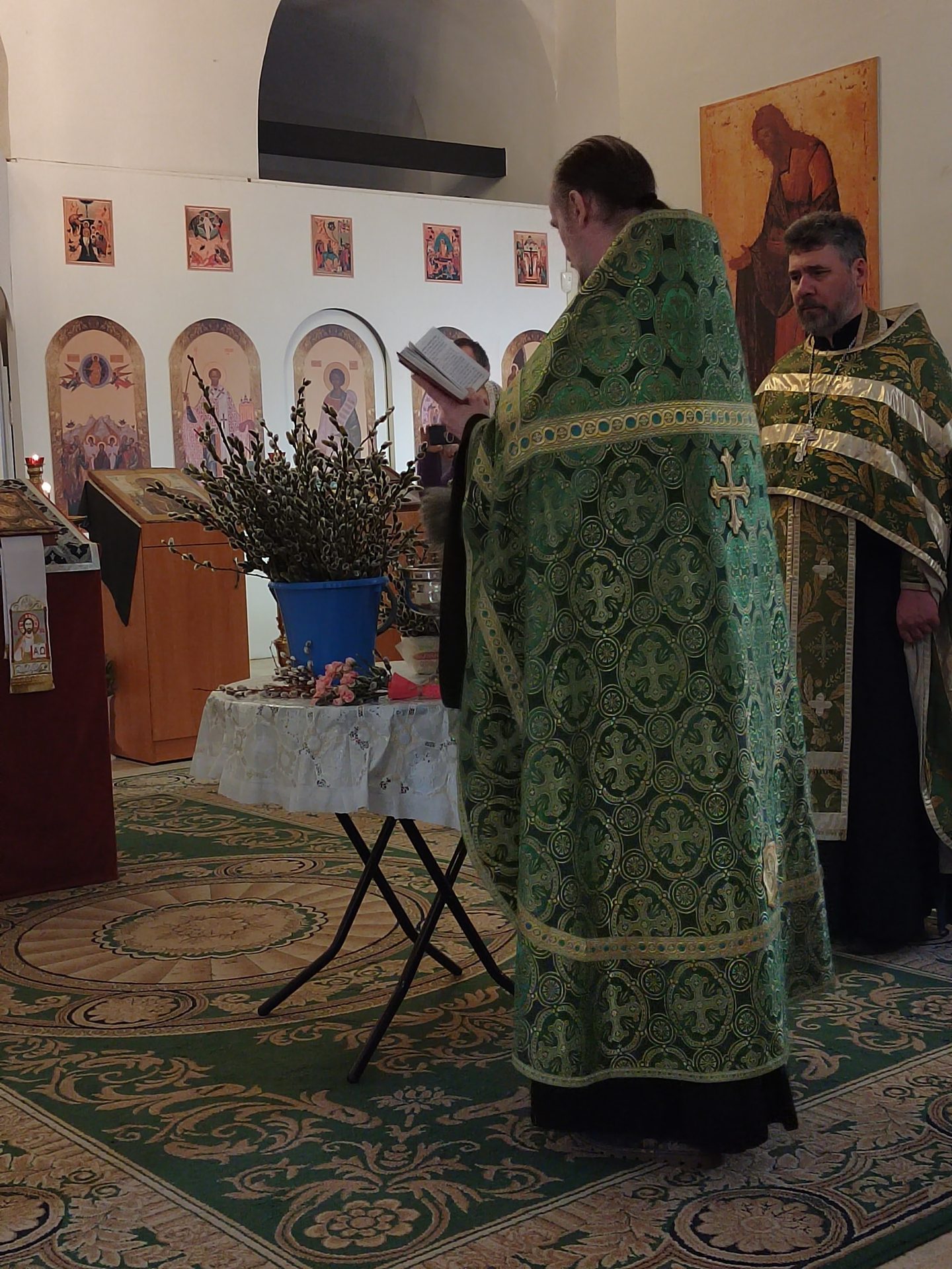 С праздником Входа Господня в Иерусалим (Вербное воскресенье)