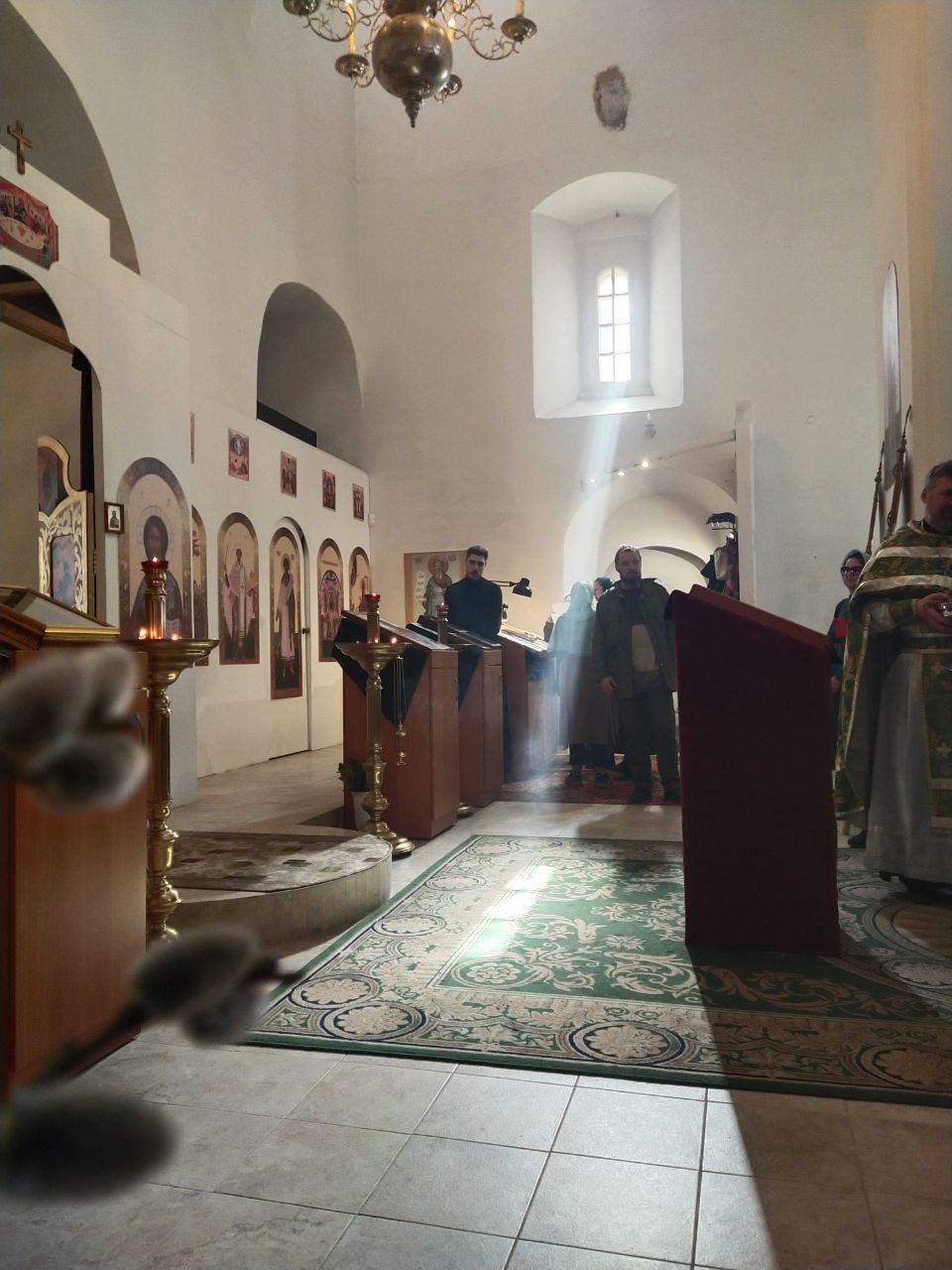 С праздником Входа Господня в Иерусалим (Вербное воскресенье)