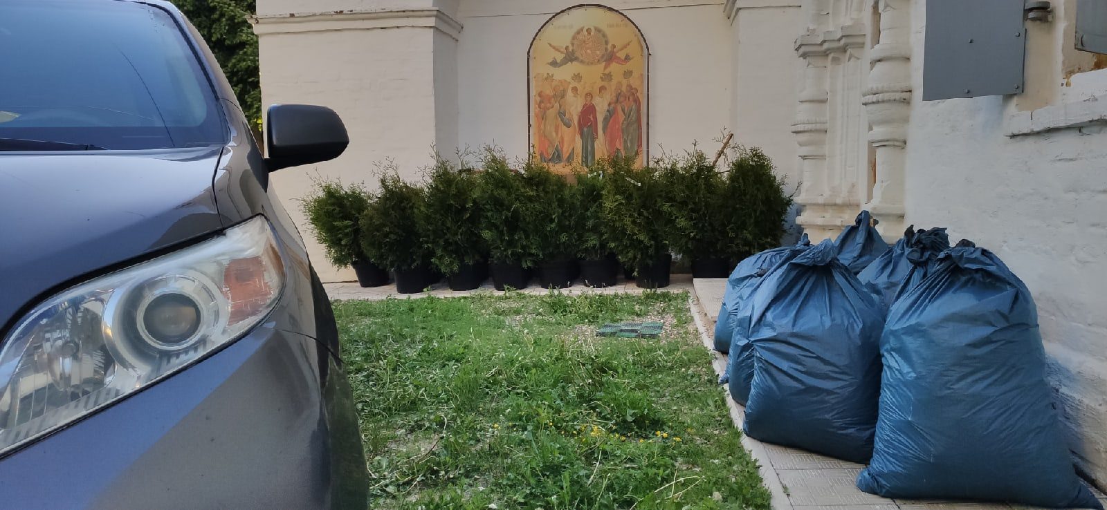 Растения из питомника приехали к храму Мы искренне благодарны всем, кт