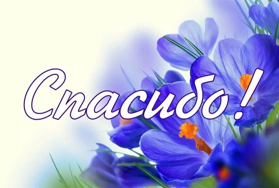 Дорогие братья и сестры