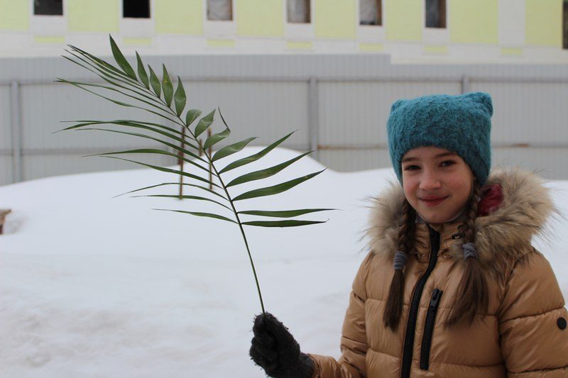 Вербное воскресенье
