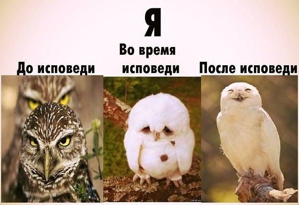 Из жизни прихода