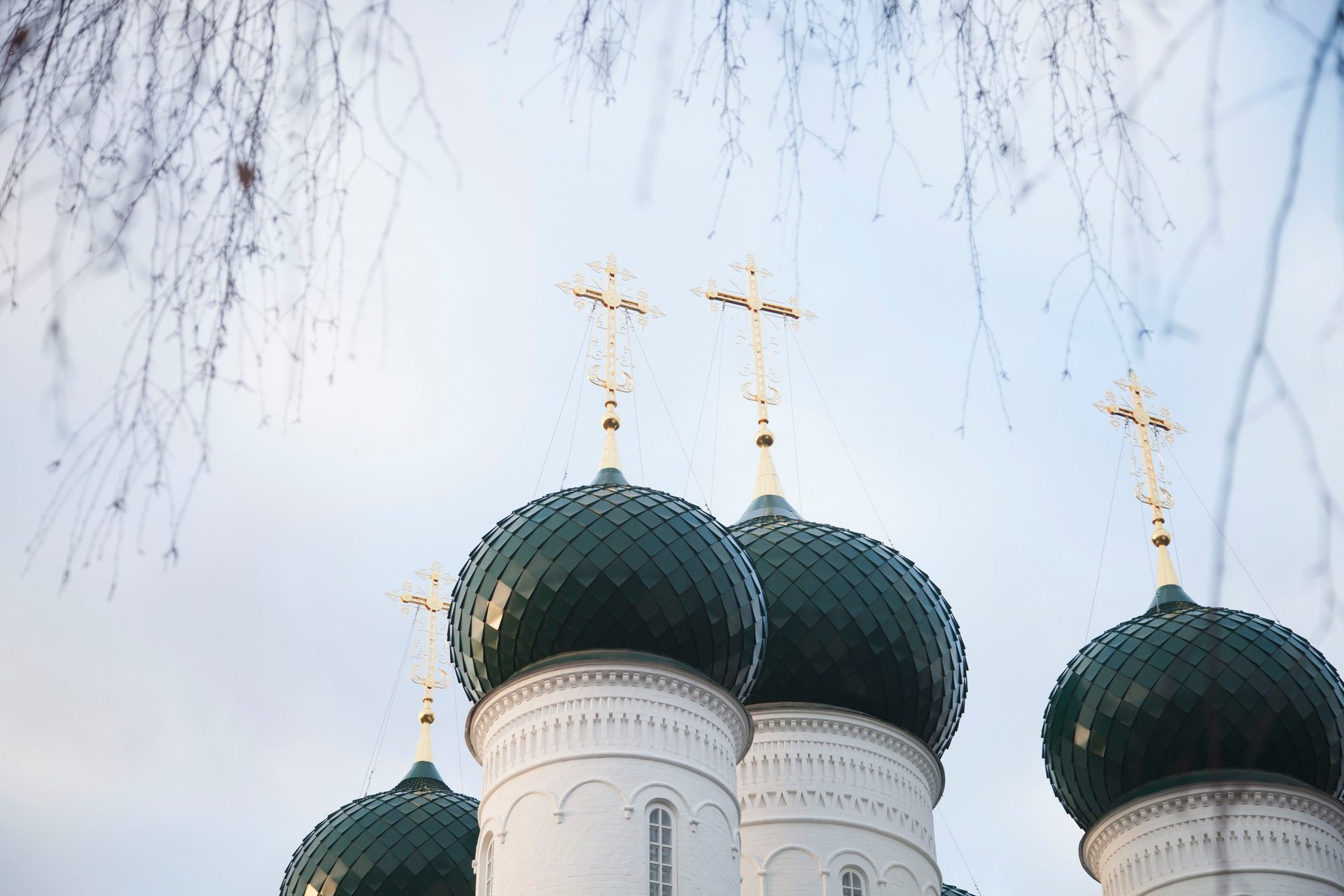 24 декабря 2015