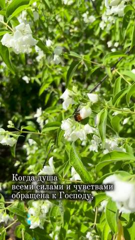 Запись от 29.06.2026