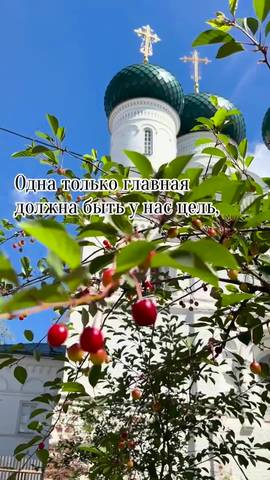 Запись от 04.07.2026