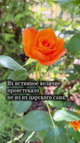 Запись от 17.07.2026
