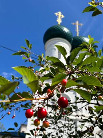 #ВознесенскаяПолянка 🍒